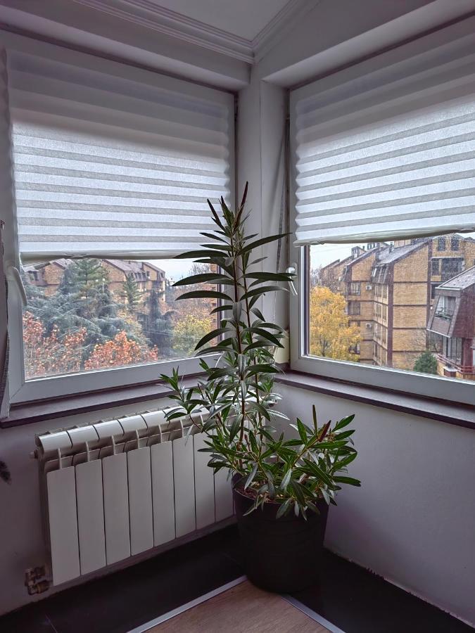 K2 Apartment Zarkovo
